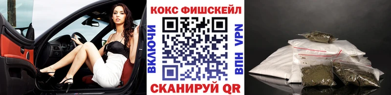 наркошоп  Сертолово  Кокаин Fish Scale 