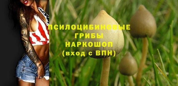 прущая мука Протвино