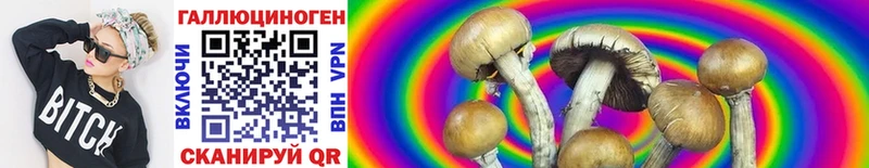 Галлюциногенные грибы Magic Shrooms Сертолово