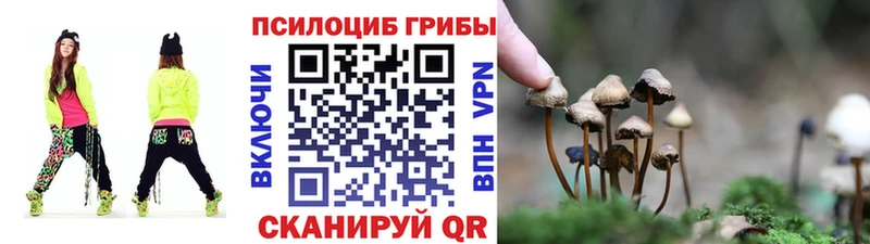 Галлюциногенные грибы мухоморы  omg онион  Сертолово 